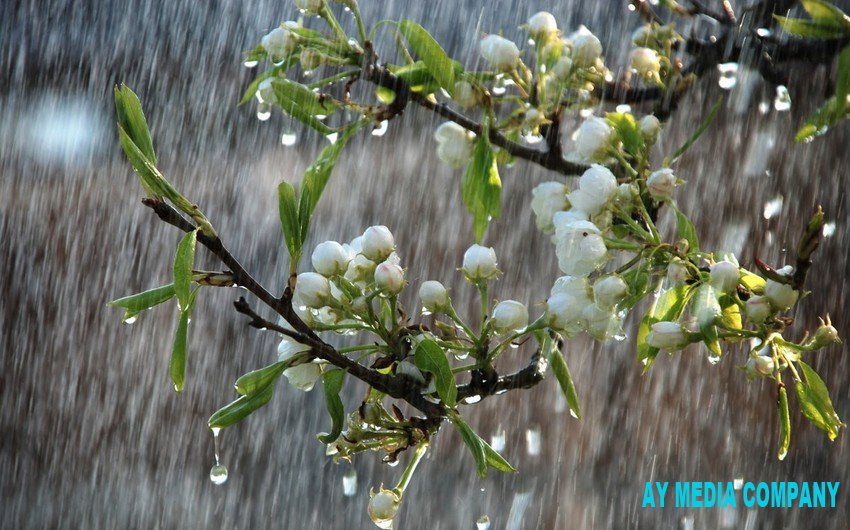 Qərb bölgəsində güclü yağış yağıb, Goranboyun bəzi kəndlərinə sel gəlib