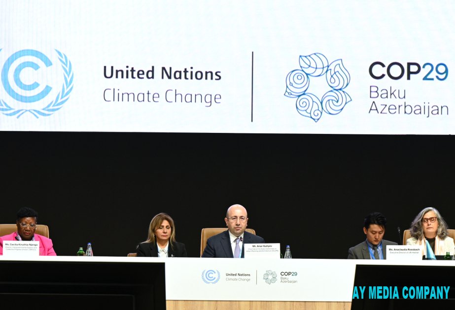 Komitə sədri: Binaları inşa edərkən yaşıl və davamlı tikinti təcrübələrini tərtib etməliyik