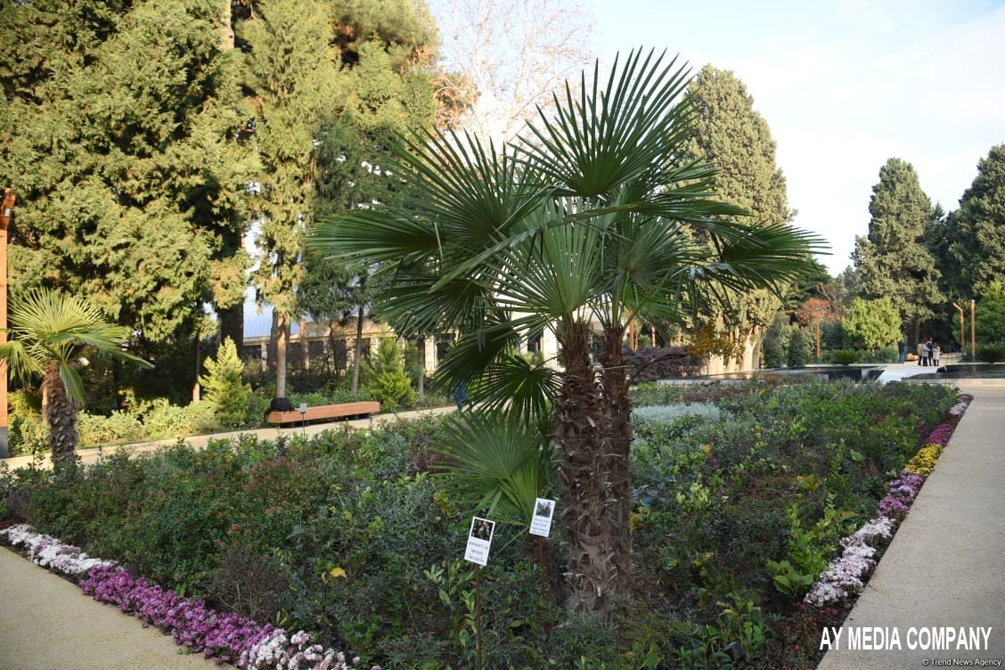 Nəbatat Bağına girişin qiyməti məlum olub