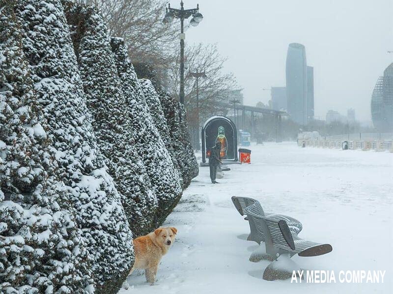 Azərbaycanda ən soyuq hava bu tarixdə olacaq - 25 dərəcə şaxta olacaq
