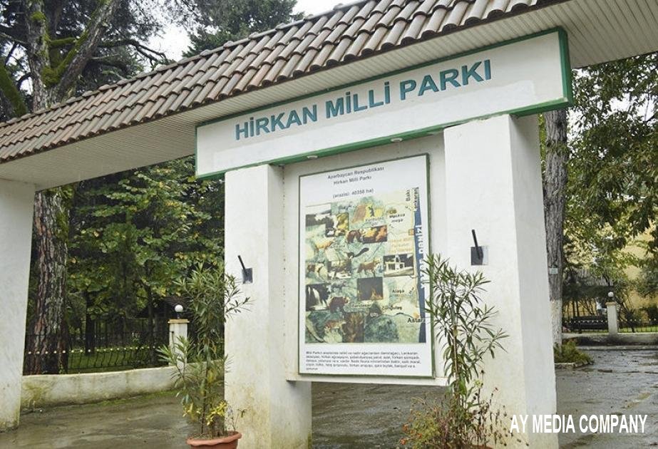 Hirkan Milli Parkı “Qırmızı kitab”a daxil edilmiş bitki növlərinin sayına görə birinci yerdədir