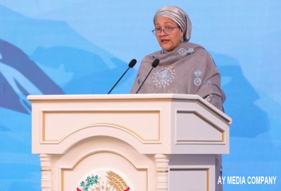 BMT Baş katibinin müavini: Buzlaqları qorumaq üçün təcili hərəkətə keçməliyik